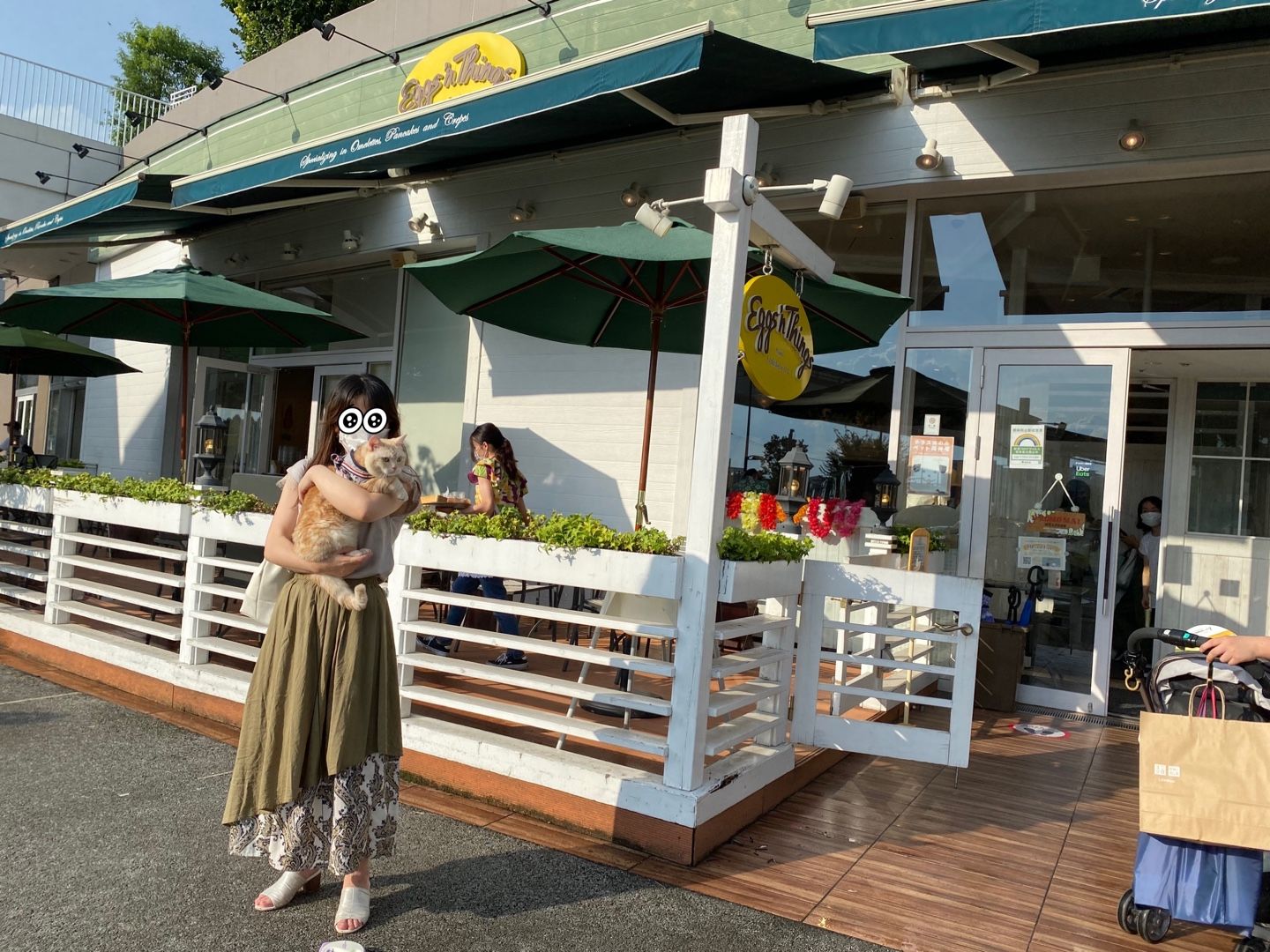 ペット同伴 立川 ららぽーと立川のeggs N Things に行く たっくんとマンチカンとラグドールと行く 楽天ブログ