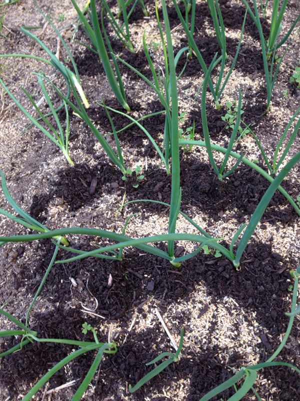 rblog-20140402013740-03.jpg