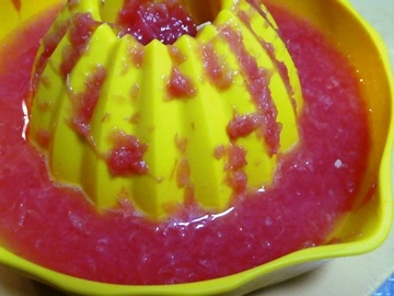 P1000838.JPG