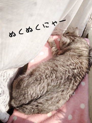 120222_2.jpg