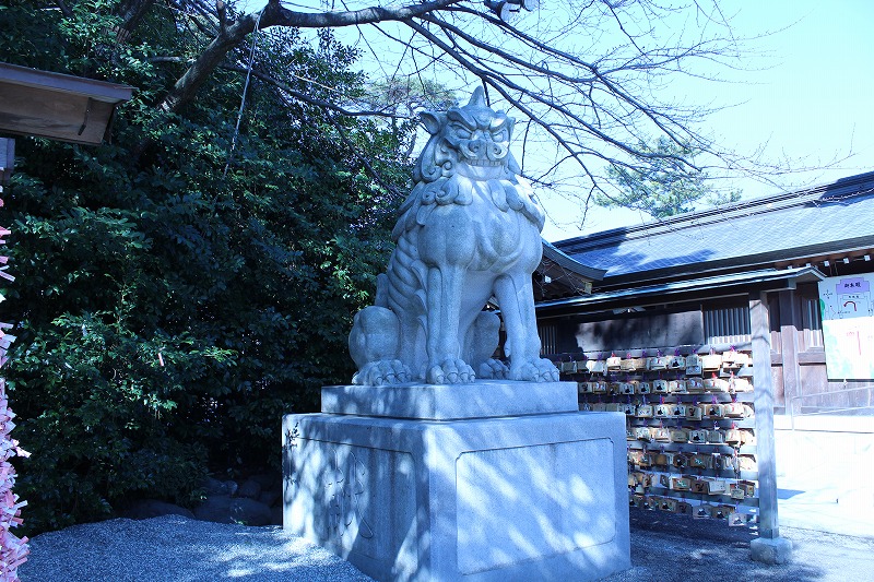 008狛犬.jpg