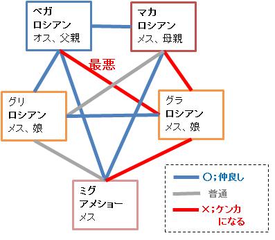 我が家の猫の関係.jpg