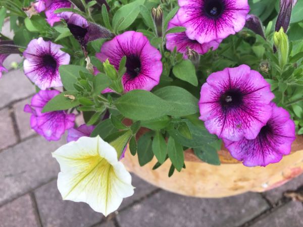 rblog-20160531203424-02.jpg