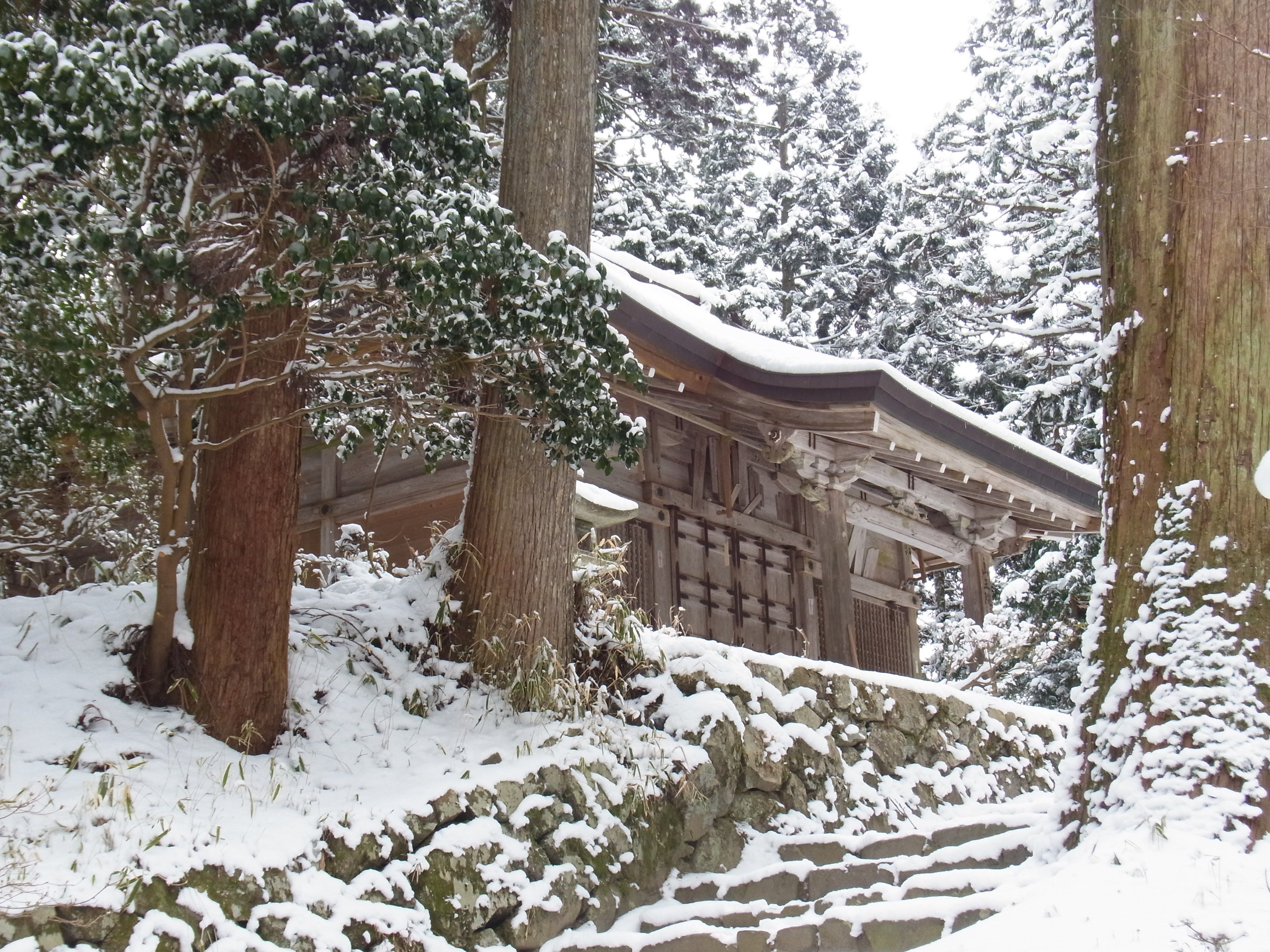 雪中登山 西塔から比叡山別所 青龍寺そして八瀬へ 夢みるきのこ 楽天ブログ