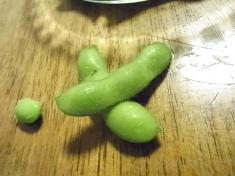 枝豆最高 (5)