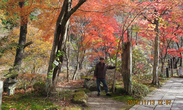 紅葉参道.jpg