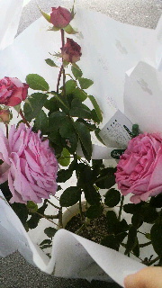 2013111813090000.jpg