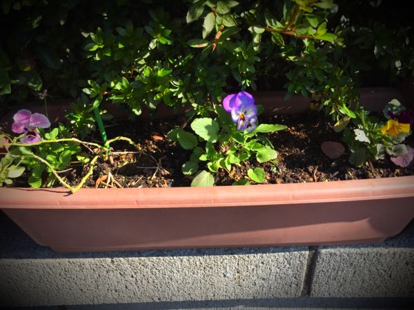 rblog-20151025173233-02.jpg