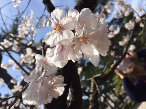 rblog-20160405214213-01.jpg