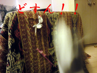 mumu5.jpg