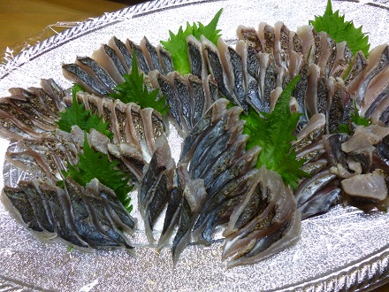 P1010121.jpg