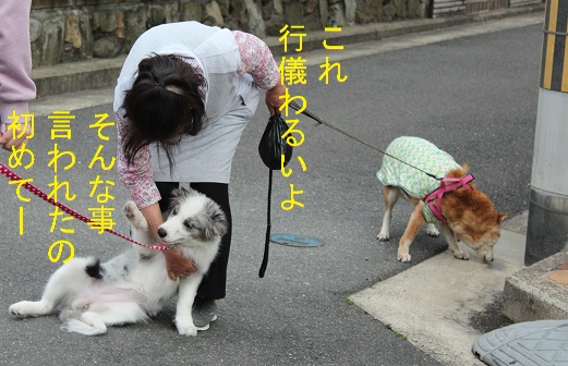へへん