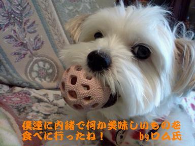 IMG01026_1.jpg