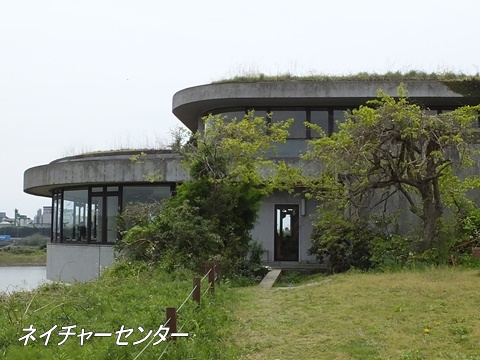 東京港野鳥公園にて