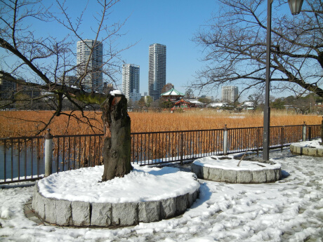 上野公園の雪景色