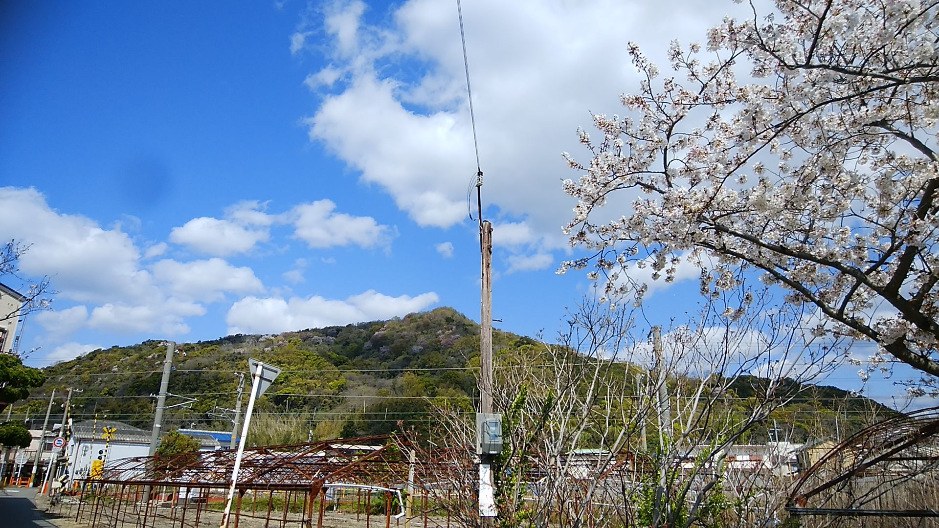 2020年4月5日 名草山（229m） | 和歌♡山オバチャンの日記 - 楽天ブログ