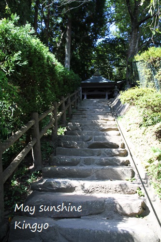 c119.JPG