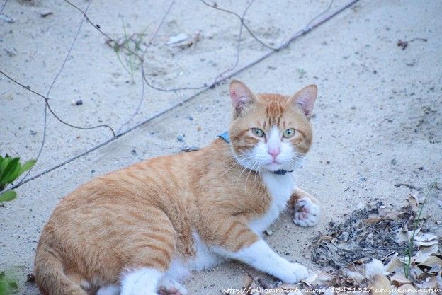 別れた後の男性の気持ちは？