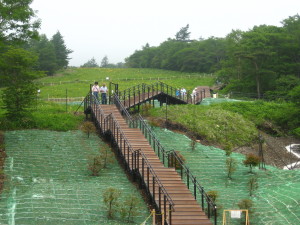 IMG_3972.JPG