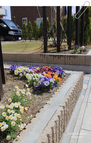 花壇２.JPG