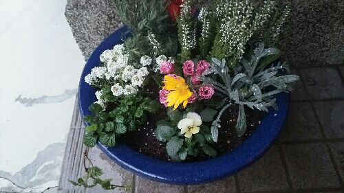 rblog-20160110181412-01.jpg