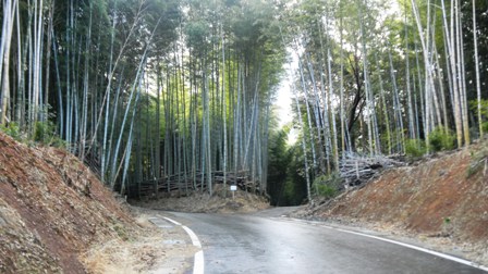 小塩山から下山して来た場所