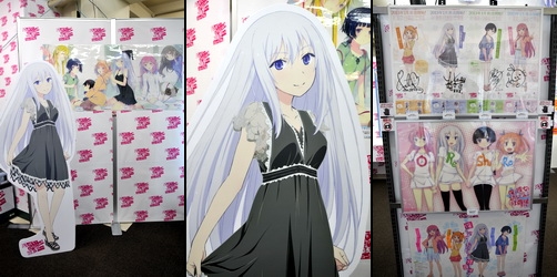 akiba130112d.jpg