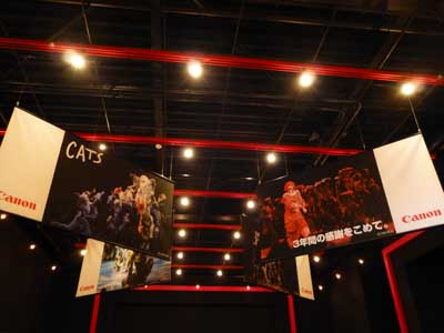 キャッツ７.JPG