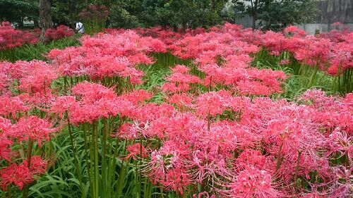 rblog-20150928161328-02.jpg