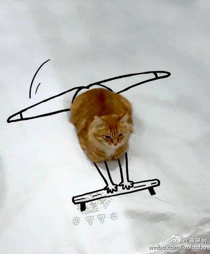 89.jpg