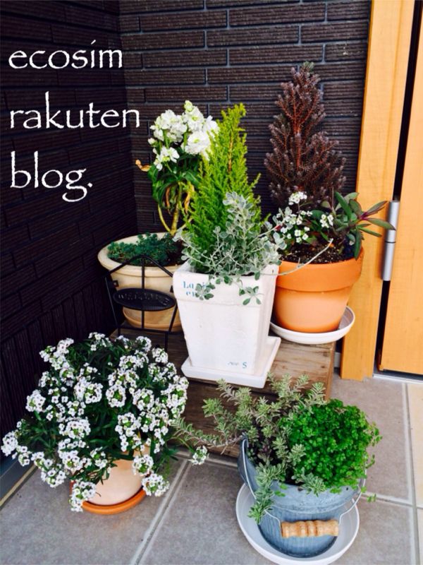 rblog-20140108143821-00.jpg