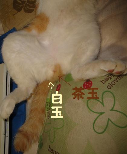 DSC007147777.jpg