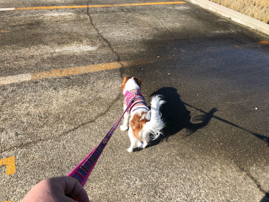 rblog-20181221122652-00.jpg