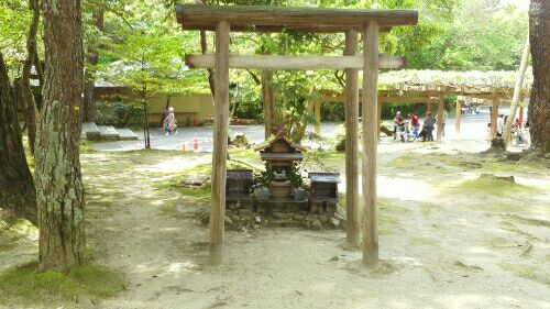 rblog-20160609235637-00.jpg