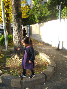 IMG_2814.jpg