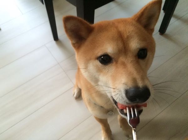 rblog-20160713104326-02.jpg