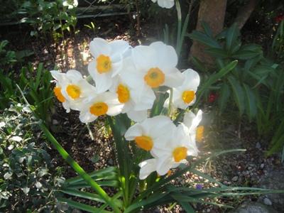 DSC02523.jpg