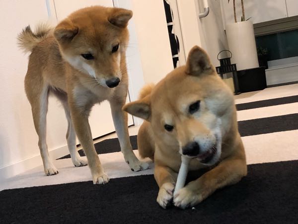 rblog-20180110125609-04.jpg