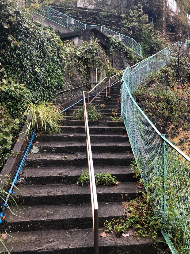 走り湯から伊豆山神社までの階段を駆け上り あしの御守り入手ラン ニッポンのオッさんがいろいろ運動やってみたことのご報告 楽天ブログ