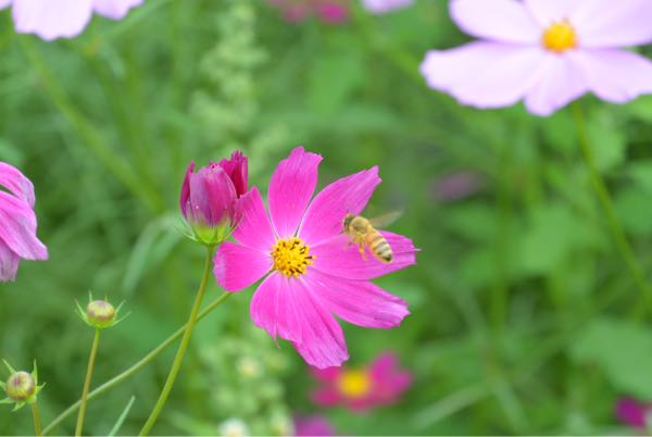 rblog-20170926090712-00.jpg
