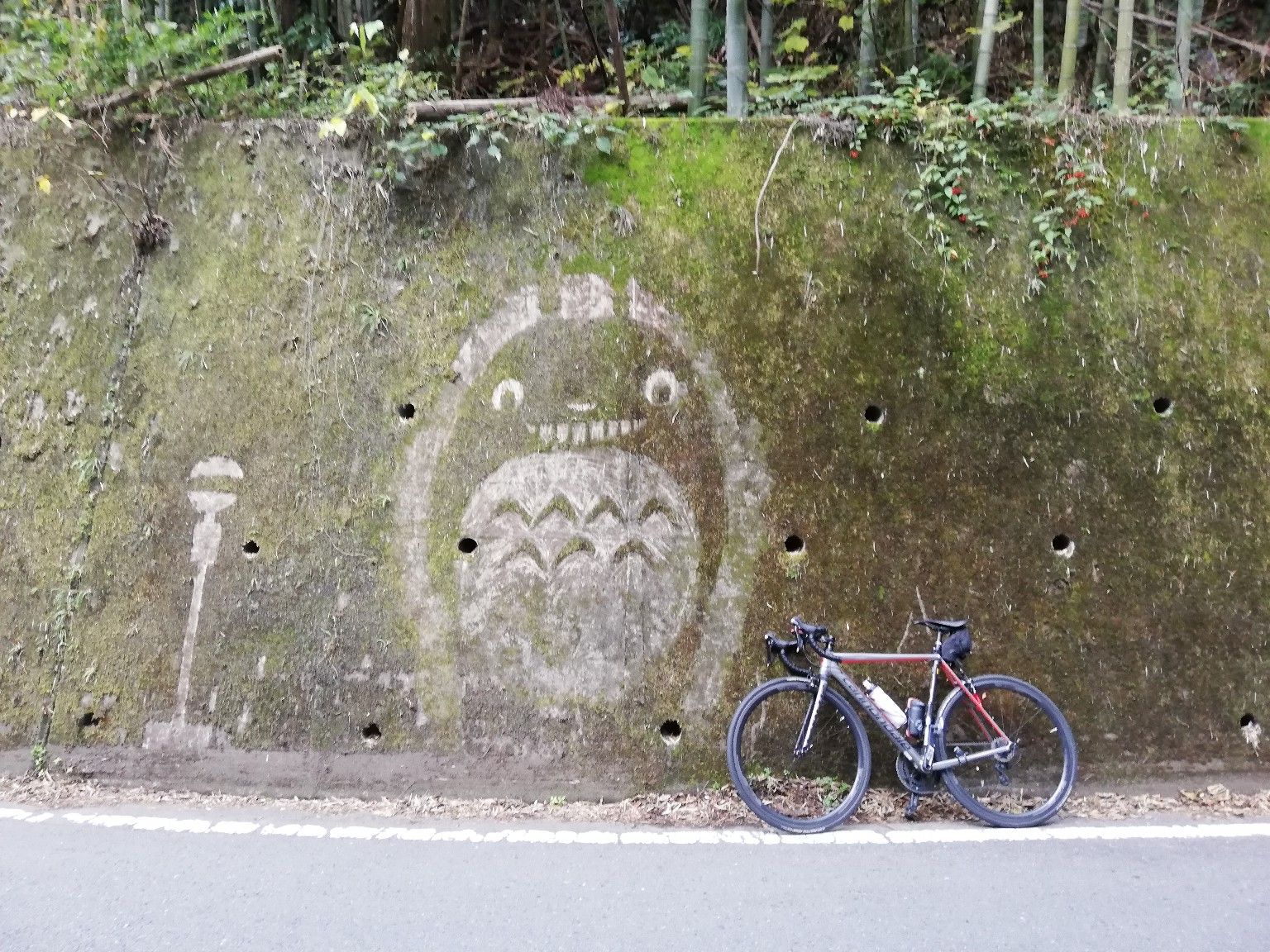 秩父 花（ポピー）より団子ライド  ４０代、ロードバイクの旅＆整備録 