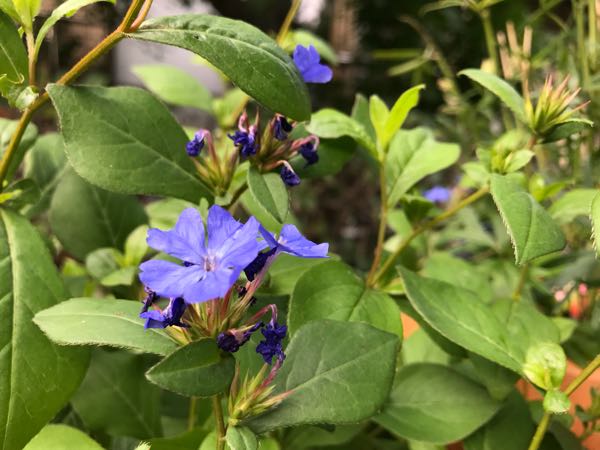 rblog-20180628171900-04.jpg