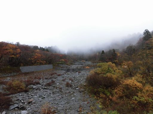 15.11.09大山３.JPG
