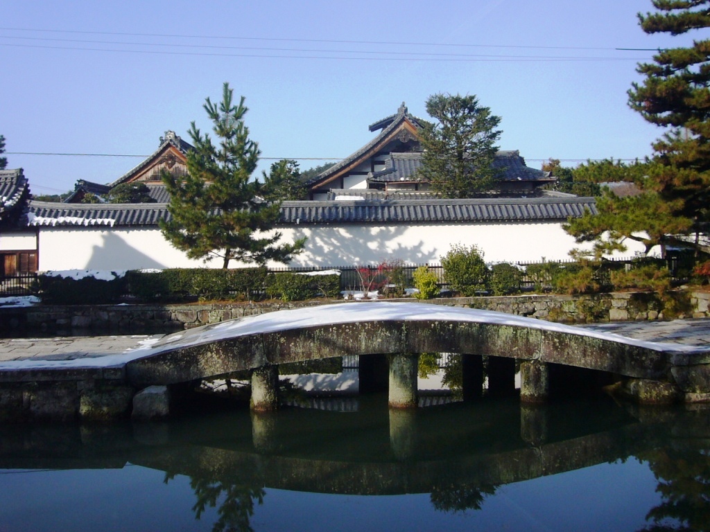 P1170387-.jpg