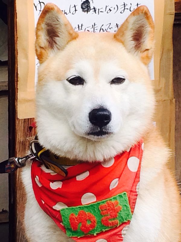 rblog-20131204220932-02.jpg