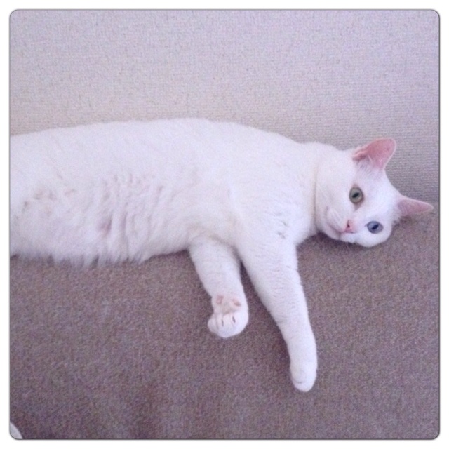 rblog-20130701001808-00.jpg