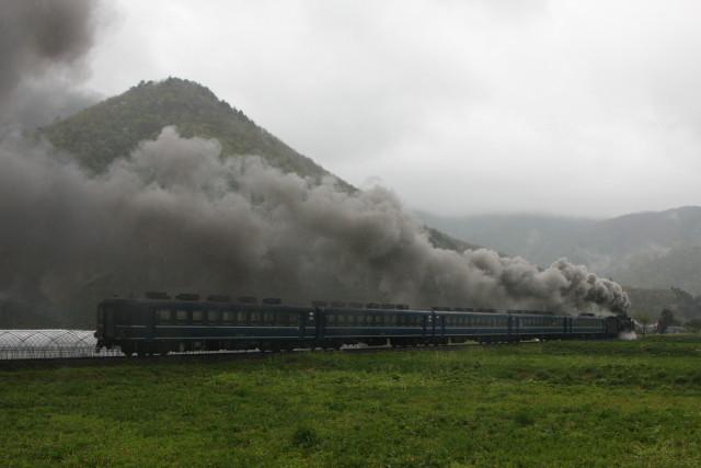 雨の 野山を. 釜石線 D51が行く2