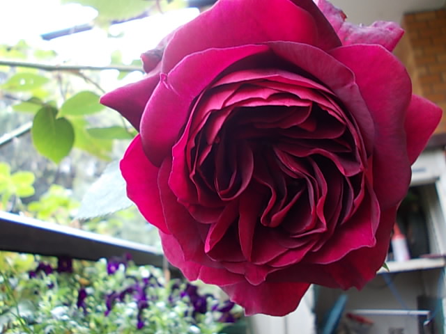 DSCN0261.JPG