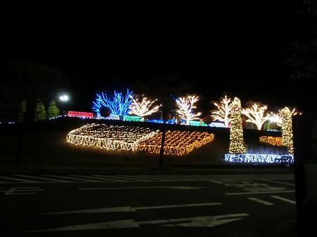 フラワーパーク