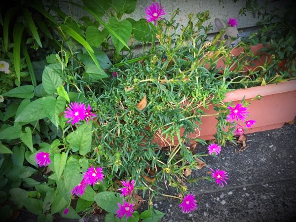 rblog-20160710211450-04.jpg